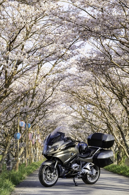 ちょこっとツーリング 桜 嵐山 祇園 でバイクの写真を撮る 銀河への道 ｂｍｗ ｒ１２００ｒｔ Lcに魅せられて